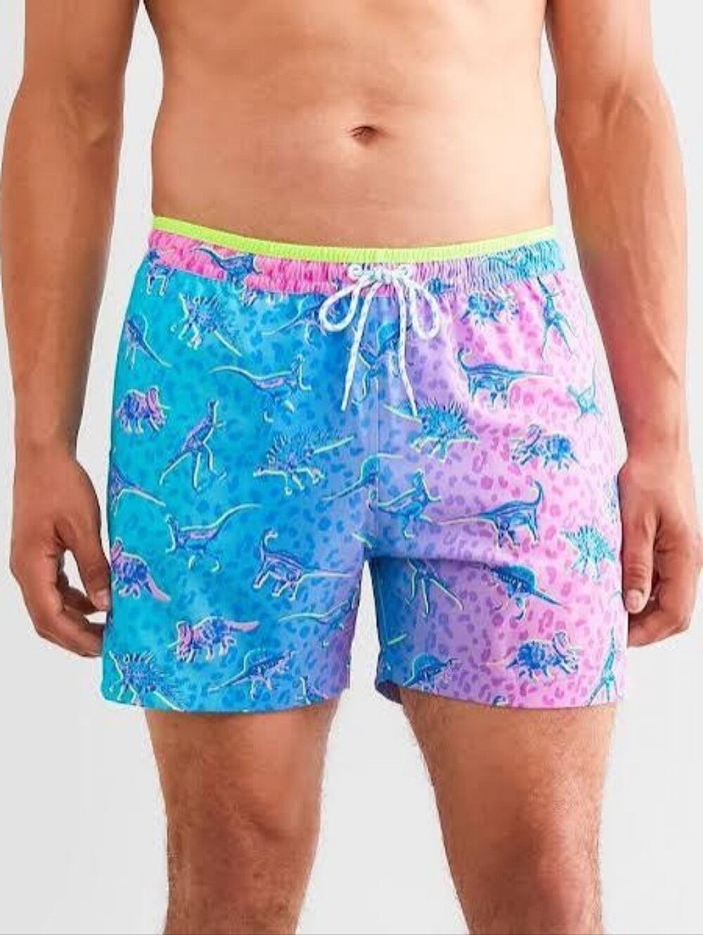 Chubbies Swim Trunks Mens Large 5.5 Inch Blue Pink Dino Brief Mesh Liner